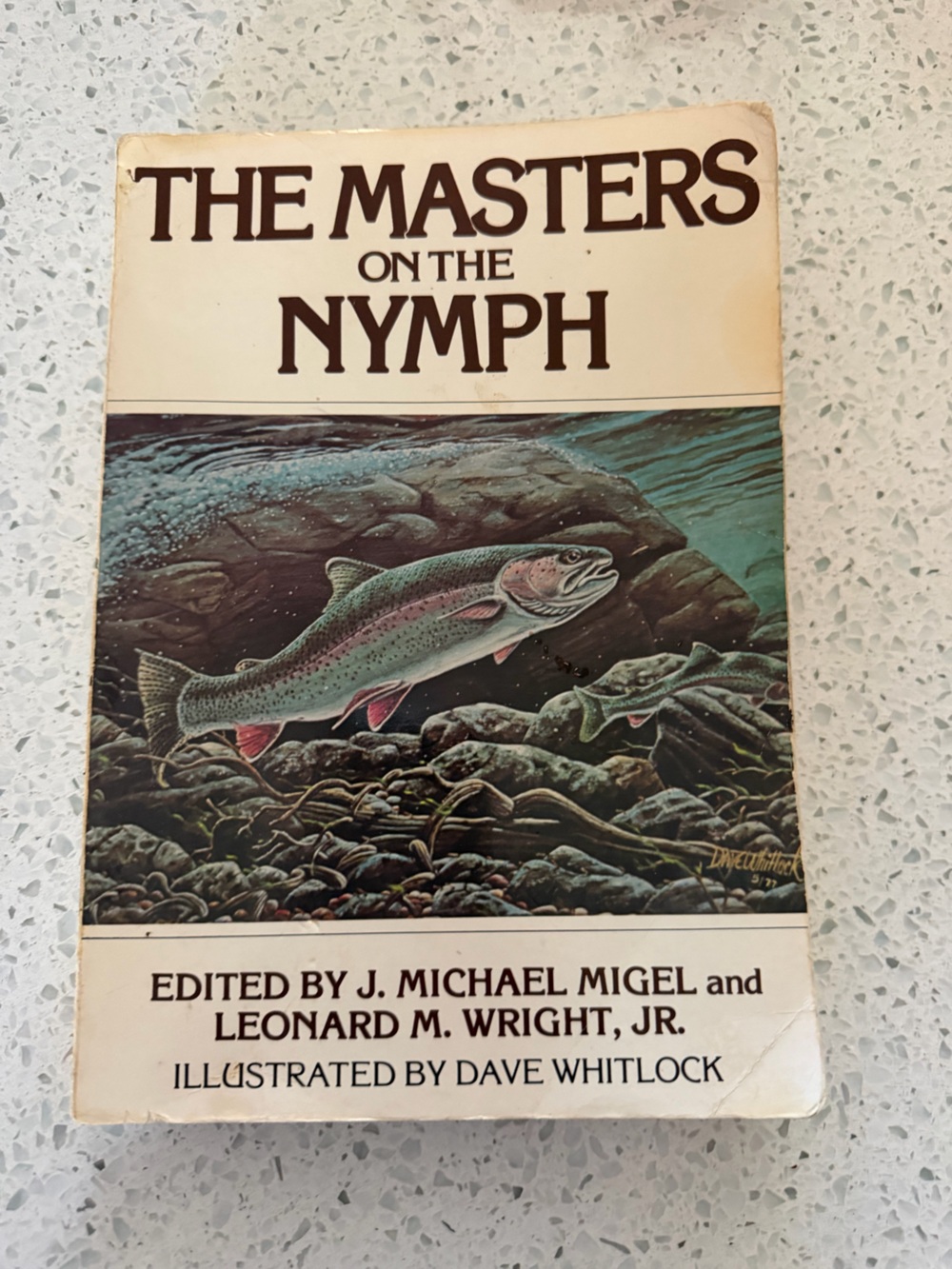 The Masters on the Nymph Fish Art Print - Green and Pink Trout Illustration